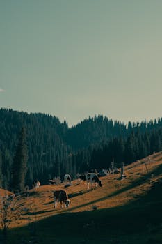  复信温暖法国校园；师生共庆中法情谊；青春架起合作新桥。 文化旅游