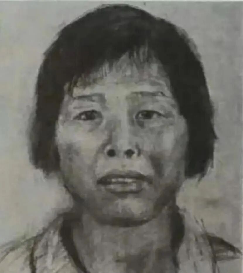  梅姨落网，长相变化显著；画像相似度不足30%，同居男友揭露其神秘行踪。 新闻 梅姨落网，长相变化显著；画像相似度不足30%，同居男友揭露其神秘行踪。 新闻