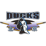  北京首钢理性引援路径：拒绝金元模式，推动CBA可持续竞争。 体育新闻 北京首钢理性引援路径：拒绝金元模式，推动CBA可持续竞争。 体育新闻