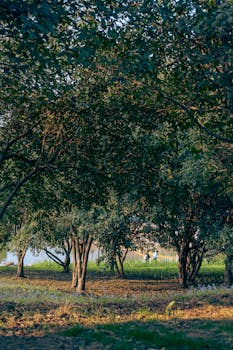 青春在岗位闪光；2026中国青年五四奖章入围者，书写时代担当。