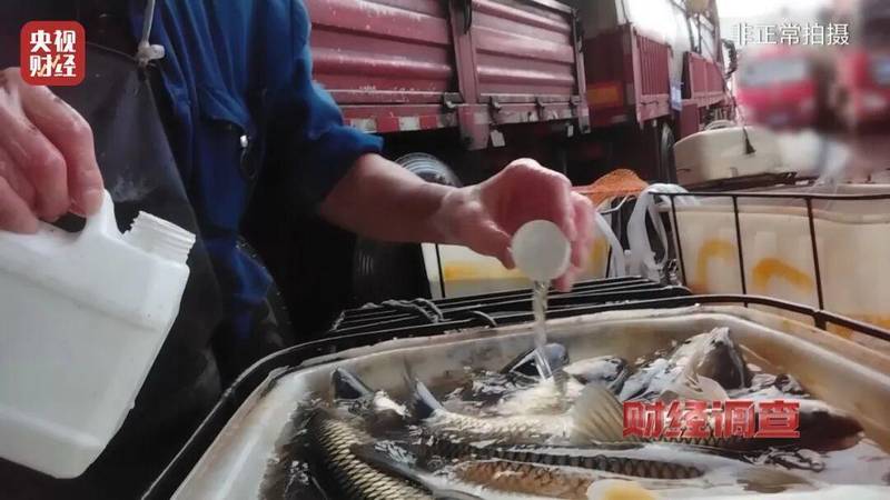  水产流通乱象频现：镇静物质让鱼“休眠”；监管发力整治，消费者权益需守护。 健康养生 水产流通乱象频现：镇静物质让鱼“休眠”；监管发力整治，消费者权益需守护。 健康养生