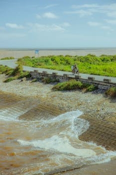 离岸贸易与免税工具：海南自贸港的财富增长逻辑 企业服务