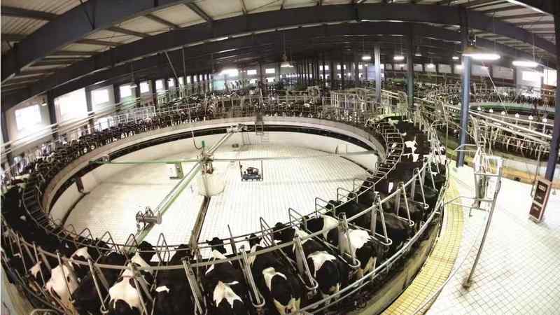  重构消费价值锚点：乳企突围战中的场景化新武器 企业服务