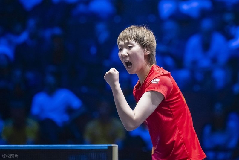  技术解析：全满贯拼图与世界杯战术博弈的深度剖析 体育新闻