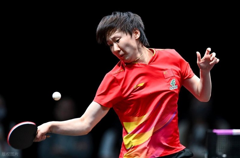  技术解析：全满贯拼图与世界杯战术博弈的深度剖析 体育新闻