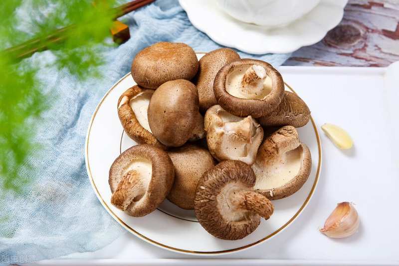  膳食营养辅助指南：获取天然能量的路径 健康养生