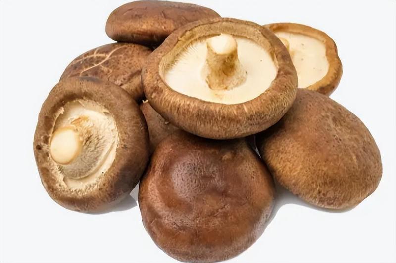  膳食营养辅助指南：获取天然能量的路径 健康养生