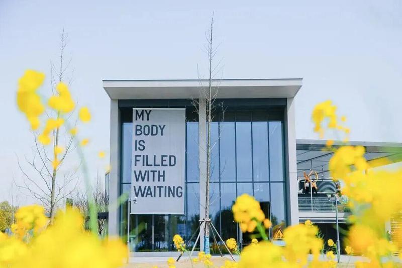  【春季新风向】乡村美学经济的崛起与流量变现逻辑 企业服务