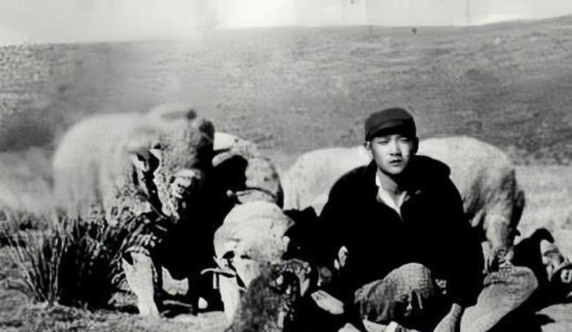  技术人生的北大荒抉择：一位知青四十年技术生涯的深度剖析 文化旅游