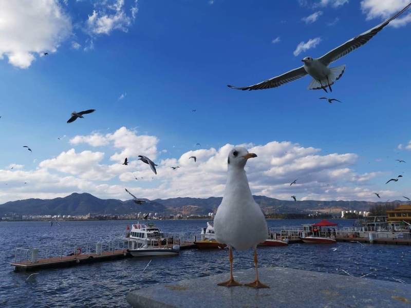  从默默无闻到全国标杆：三个小城的逆袭故事，藏着中国经济的秘密 文化旅游
