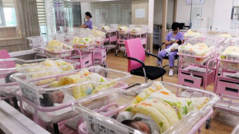  《千亿育儿补贴治理架构深度拆解：备案审查机制如何守护每一分钱》 新闻