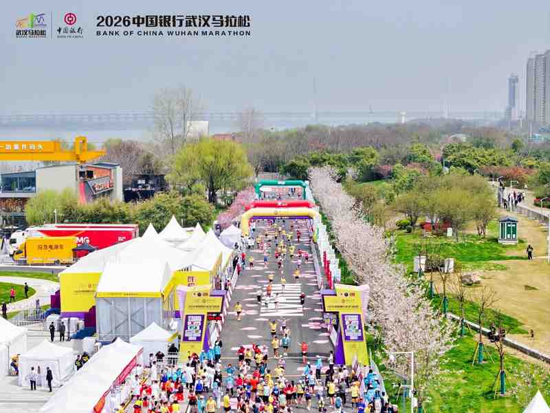  跑过樱花雨，我在武汉找到了一座城市的诚意 文化旅游
