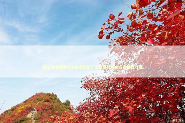 还在为电脑硬件不兼容发愁？这些高效解决方案值得收藏 IT技术